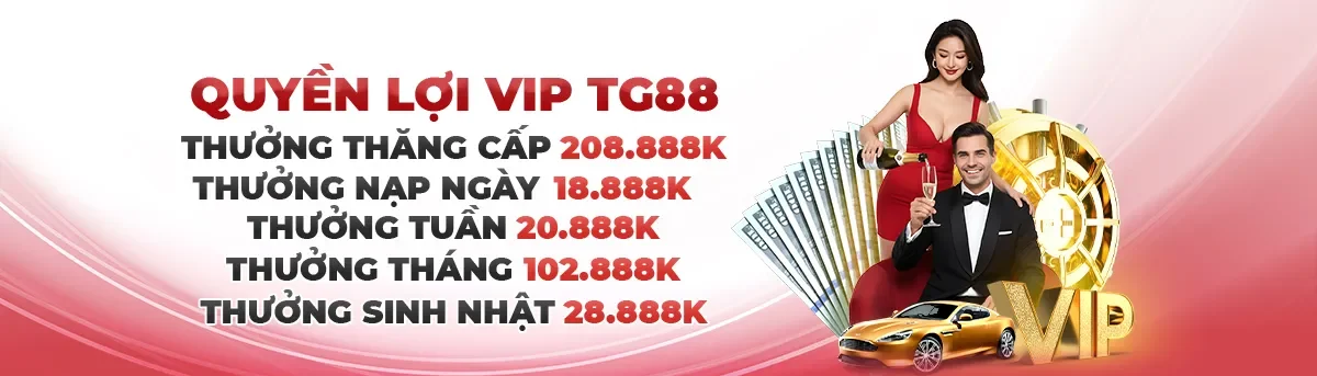 quyền lợi vip tg88